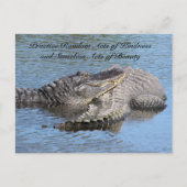 Random Acts of Kindness Briefkaart - Alligators (Voorkant)