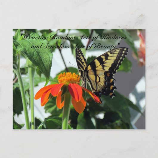 Random Acts of Kindness Briefkaart - Butterfly (Voorkant)