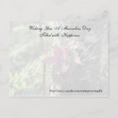 Random Acts of Kindness Briefkaart - Daisy (Achterkant)