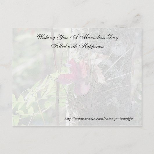 Random Acts of Kindness Briefkaart - Daisy (Achterkant)