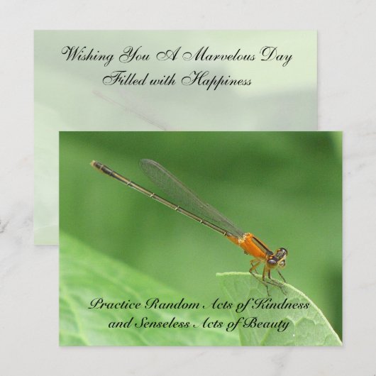Random Acts of Kindness Briefkaart - Damselfly (Voorkant / Achterkant)