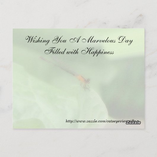 Random Acts of Kindness Briefkaart - Damselfly (Achterkant)