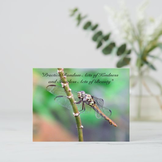 Random Acts of Kindness Briefkaart - Dragonfly (Staand voorkant)