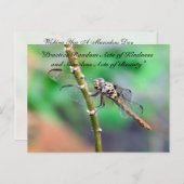 Random Acts of Kindness Briefkaart - Dragonfly (Voorkant / Achterkant)