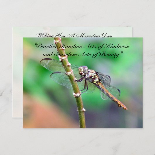 Random Acts of Kindness Briefkaart - Dragonfly (Voorkant / Achterkant)
