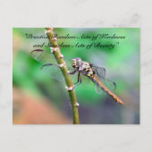 Random Acts of Kindness Briefkaart - Dragonfly (Voorkant)