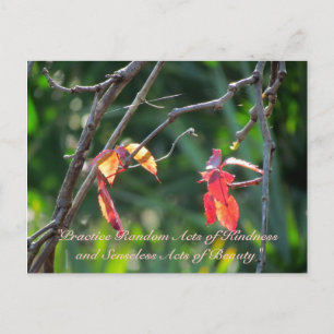 Random Acts of Kindness Briefkaart - Fall Leaves