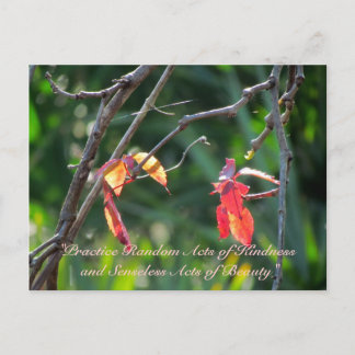 Random Acts of Kindness Briefkaart - Fall Leaves