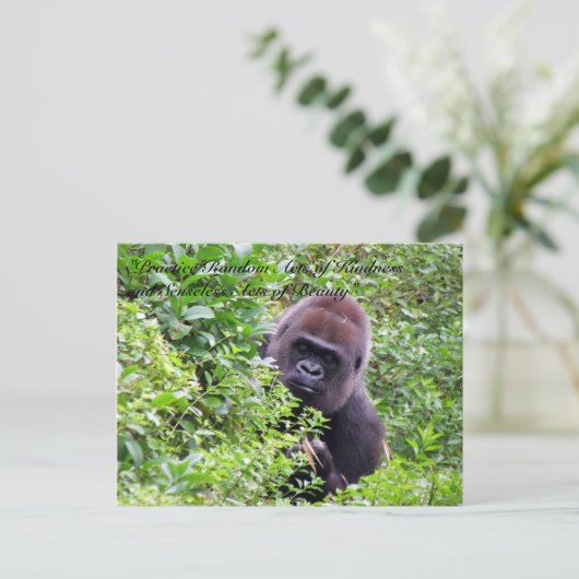 Random Acts of Kindness Briefkaart - Gorilla Editi (Staand voorkant)