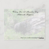 Random Acts of Kindness Briefkaart - Gorilla Editi (Achterkant)