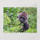 Random Acts of Kindness Briefkaart - Gorilla Editi (Voorkant)