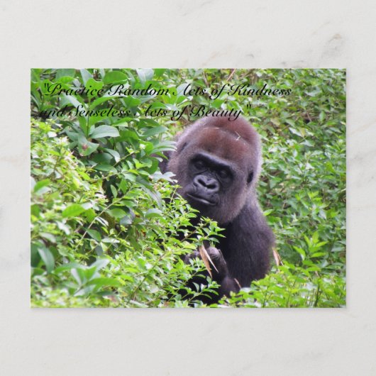 Random Acts of Kindness Briefkaart - Gorilla Editi (Voorkant)