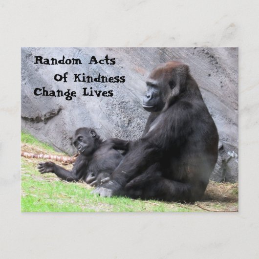 Random Acts of Kindness Briefkaart - Gorilla Famil (Voorkant)