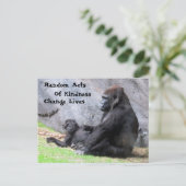 Random Acts of Kindness Briefkaart - Gorilla Famil (Staand voorkant)