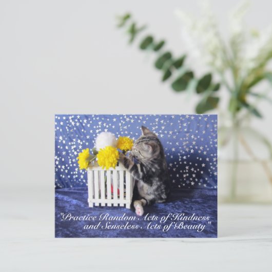 Random Acts of Kindness Briefkaart- Lilo 3809a Briefkaart (Staand voorkant)