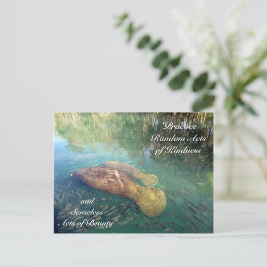 Random Acts of Kindness Briefkaart- Manatee Briefkaart (Staand voorkant)