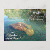 Random Acts of Kindness Briefkaart- Manatee Briefkaart (Voorkant)