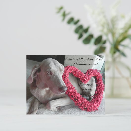 Random Acts of Kindness Briefkaart - Regen (Staand voorkant)