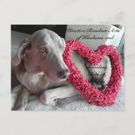 Random Acts of Kindness Briefkaart - Regen