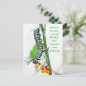 Random Acts of Kindness - Monarch Caterstyle Briefkaart (Staand voorkant)