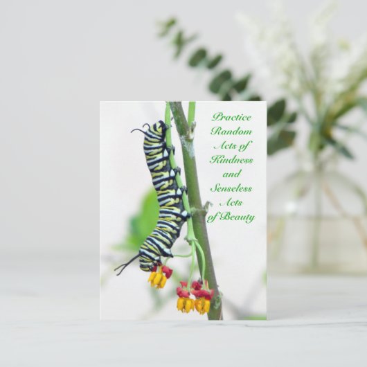 Random Acts of Kindness - Monarch Caterstyle Briefkaart (Staand voorkant)