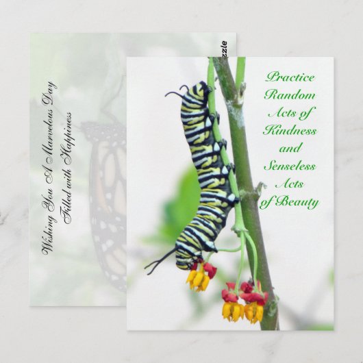 Random Acts of Kindness - Monarch Caterstyle Briefkaart (Voorkant / Achterkant)