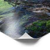 Random Beauty Foto Afdruk (Hoek)