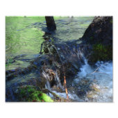 Random Beauty Foto Afdruk (Voorkant)