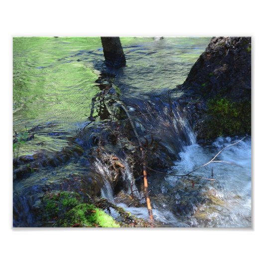 Random Beauty Foto Afdruk (Voorkant)