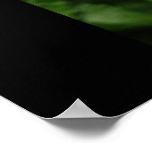 Random Kindness Poster (Hoek)