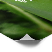 Random Kindness Poster (Hoek)