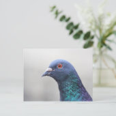 Random Pigeon Briefkaart (Staand voorkant)