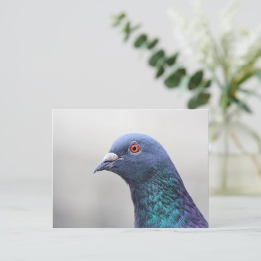 Random Pigeon Briefkaart (Staand voorkant)
