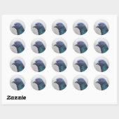 Random Pigeon Ronde Sticker (Vel)