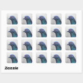 Random Pigeon Vierkante Sticker (Vel)