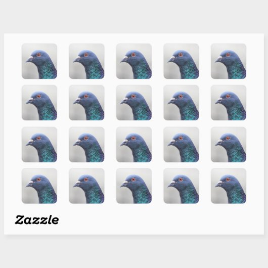Random Pigeon Vierkante Sticker (Vel)