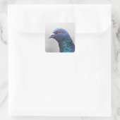 Random Pigeon Vierkante Sticker (Tas)