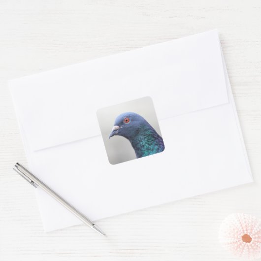 Random Pigeon Vierkante Sticker (Envelop)