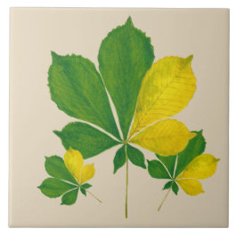 'Rang De Basanti' op een keramische Tegel (I) Tegeltje