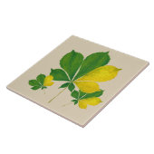 'Rang De Basanti' op een keramische Tegel (I) Tegeltje (Zijkant)