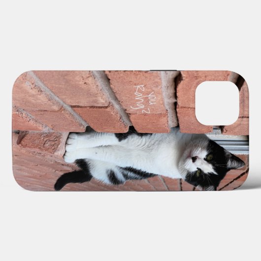 Rang? Zwart/wit katje op Rick-vensterbank Case-Mate iPhone Case (Achterkant (horizontaal))