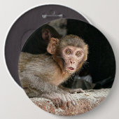 Rangaap met grote ogen ronde button 6,0 cm (Voorkant /achterkant)