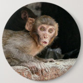 Rangaap met grote ogen ronde button 6,0 cm (Voorkant)