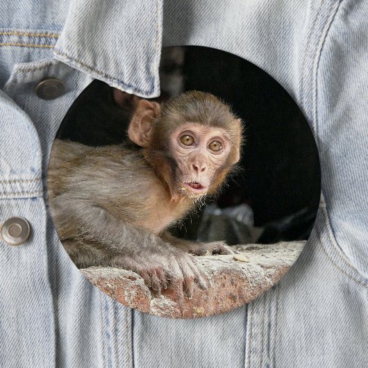 Rangaap met grote ogen ronde button 6,0 cm (In situ)