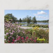 Rangeley Lakes briefkaart (Voorkant)