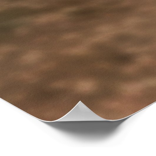 RANGER! 09 POSTER (Hoek)