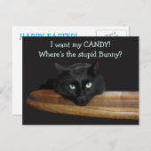 Ranger Het Stomme Konijn Pasen Ansichtkaart Feestdagenkaart (Voorkant / Achterkant)