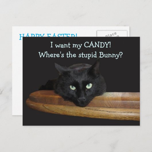 Ranger Het Stomme Konijn Pasen Ansichtkaart Feestdagenkaart (Voorkant / Achterkant)