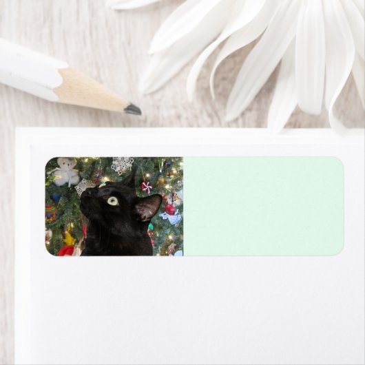 Ranger Kat kerstretour-labels Etiket (Insitu)