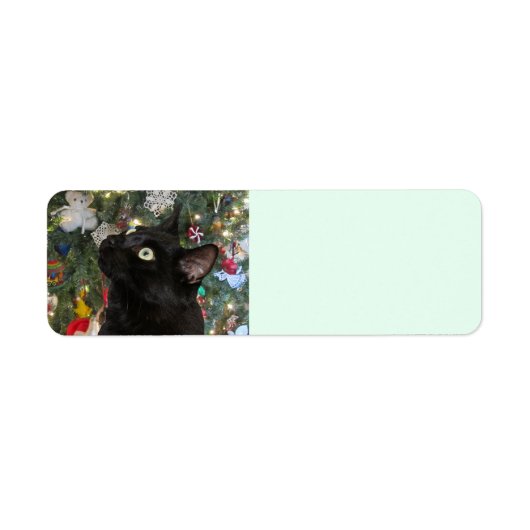 Ranger Kat kerstretour-labels Etiket (Voorkant)
